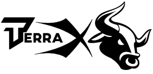 logo_terra_X_final
